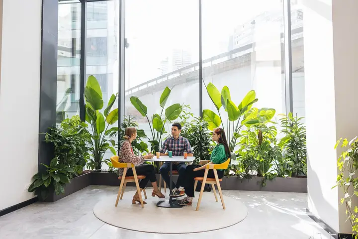 Colleagues discussing a project around a table beside large windows and plants.